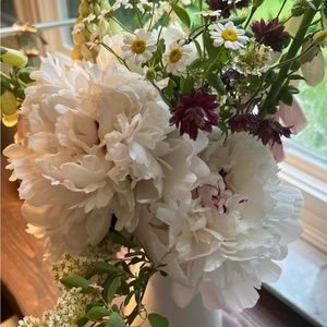 Meet your Posher, Kirsten